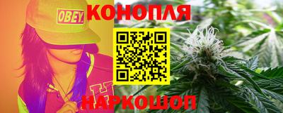 стаф Новодвинск