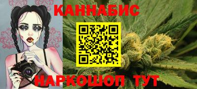 стаф Новодвинск