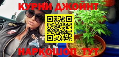 дмт Новокубанск