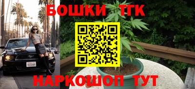 дмт Новокубанск