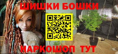 дмт Новокубанск